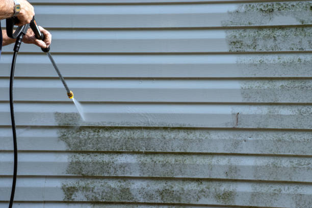 Best Yard Waste Removal  in Northwest Harbor, NY