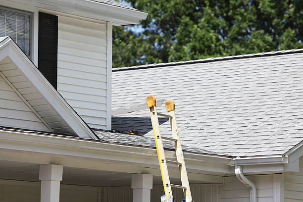 Best Hoarding Cleanup  in Northwest Harbor, NY